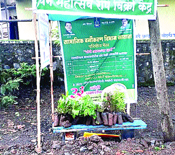 43 species of seedlings in your arid valley ...! | मेढ्यात ४३ जातींची रोपे आपल्या दारी...! 43 species of seedlings in your arid valley ...! | मेढ्यात ४३ जातींची रोपे आपल्या दारी...!