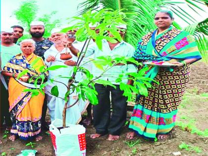 Planting done in the field without dismembering the mother,junnar taluka idol incident | आईच्या अस्थी विसर्जन न करता शेतातच ठेवून केले वृक्षारोपण; जुन्नर तालुक्यातील आदर्श उपक्रम