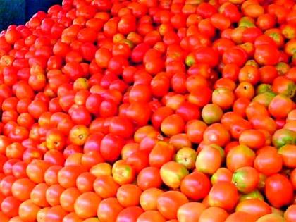 Tomato prices rise, consumers turn 'red' | टमाटरच्या भाववाढीने ग्राहक झालेत ‘लाल’ Tomato prices rise, consumers turn 'red' | टमाटरच्या भाववाढीने ग्राहक झालेत ‘लाल’