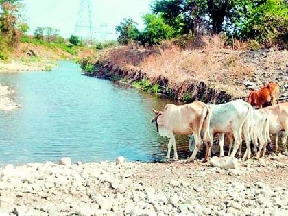 Ground water shortage in Karanja taluka | कारंजा तालुक्यात भीषण पाणीटंचाई