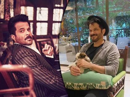 Anil Kapoor house: A virtual tour of the Bollywood star’s bungalow | Anil Kapoor Home VIDEO : अनिल कपूरचं घर आतून कसं दिसतं? पाहून तुम्हीही म्हणाल, बोले तो एकदम झक्कास...!!