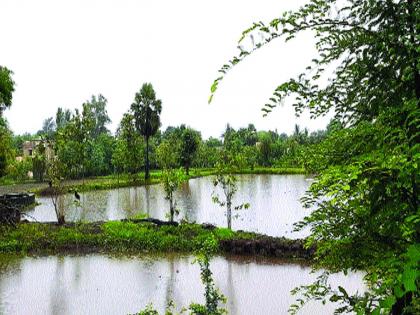 heavy rain in the Casa area; Farming work will now come in handy | कासा भागात जोरदार; शेतीच्या कामांना आता येणार वेग