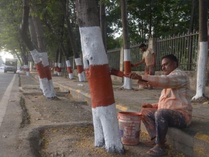 speeding up the work of the winter session; 27.5 crore received | हिवाळी अधिवेशनाच्या कामाला गती; मिळाले २७.५ कोटी