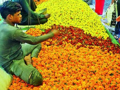 More than vq tonnes of marigold have been eroded in Nagpur | नागपुरात ५० टनांहून अधिक झेंडूची फुले झाली मातीमोल