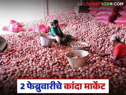 Latest News Kanda Market down until when will onion market prices improve, read in detail | दर घसरण सुरूच, आवक मात्र जैसे थे, कांदा बाजारभाव कधीपर्यंत सुधारतील, वाचा सविस्तर Latest News Kanda Market down until when will onion market prices improve, read in detail | दर घसरण सुरूच, आवक मात्र जैसे थे, कांदा बाजारभाव कधीपर्यंत सुधारतील, वाचा सविस्तर