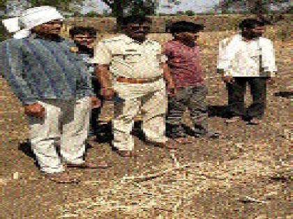 Believers found in the Belugudwadi area | बेलगुडवाडी परिसरात आढळला बिबट्यासदृश्य प्राणी