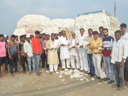 In Wardha district, farmers get correct cotton price for the first time | वर्धा जिल्ह्यात कापसाला प्रथमच मिळाला योग्य भाव