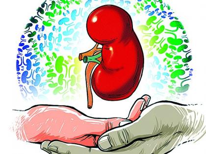 Digging RTO for organ donation campaign in the state | राज्यातील अवयवदान मोहिमेला आरटीओचा खोडा