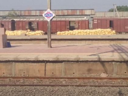 Due to the high cost of fertilizers, the burden of the crisis | खते महागल्याने संकटात भर Due to the high cost of fertilizers, the burden of the crisis | खते महागल्याने संकटात भर