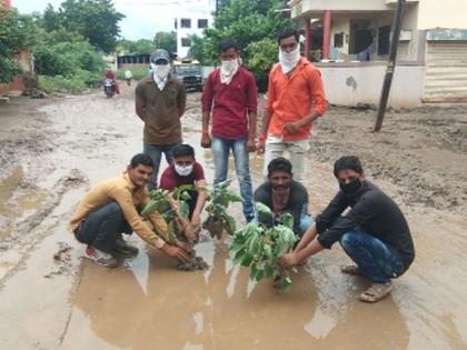 Plantation in a roadside ditch | रस्त्यावरील खड्ड्यात वृक्षारोपण