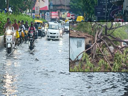 Heavy rains caused havoc among Kolhapur residents, trees and billboards fell | वळवाच्या पावसाने कोल्हापूरकरांची उडाली दाणादाण, झाडांसह फलक कोसळले Heavy rains caused havoc among Kolhapur residents, trees and billboards fell | वळवाच्या पावसाने कोल्हापूरकरांची उडाली दाणादाण, झाडांसह फलक कोसळले