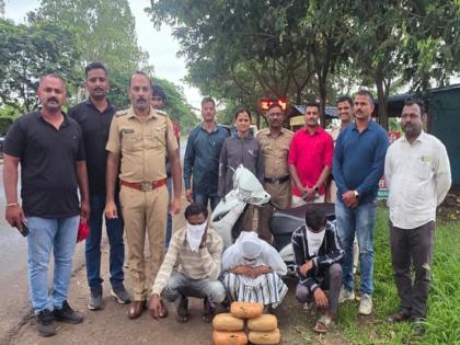 Ganja seller caught and set a trap Five people including Miraj supplier arrested | Kolhapur: गांजा विक्रेत्याला पकडून रचला सापळा; मिरजेच्या पुरवठादारासह पाचजण अटकेत; महिलेचाही समावेश