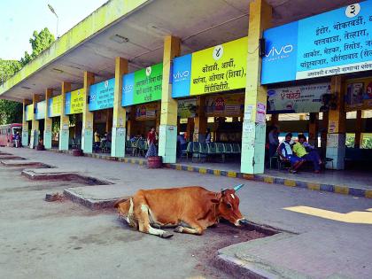 The strike hit the masses | संपाचा जनसामान्यांना फटका