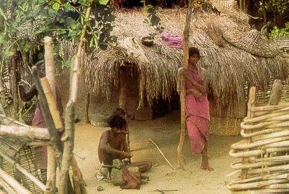 World Indigenous Day; The existence of 75 aboriginal tribes in the country is in crisis | जागतिक मूलनिवासी दिन; देशातील ७५ आदिम जमातींचे अस्तित्व संकटात