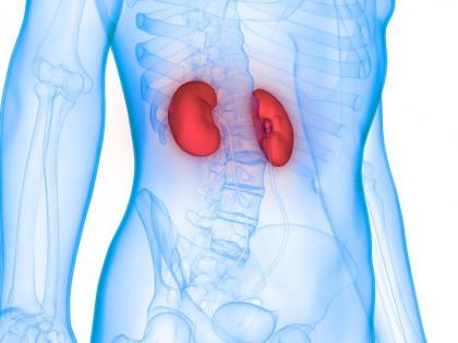 316 patients awaiting kidney transplant due to fear of infection | संसर्गाच्या भीतीमुळे नागपूर विभागात ३१६ रुग्ण किडनी प्रत्यारोपणाच्या प्रतीक्षेत