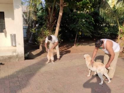 Begin the exercise of the dogs in the dog squad to overcome the corona | कोरोनावर मात करण्यासाठी श्वान पथकातील श्वानांचा व्यायाम सुरू