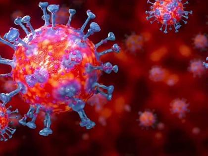 Coronavirus: Coronavirus can spread again on cold days; Likely to prolong Corona's fight | Coronavirus: थंडीच्या दिवसांत कोरोना पुन्हा फैलावू शकतो; कोरोनाचा लढा लांबण्याची शक्यता