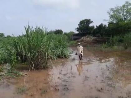 Big news; Warning of heavy rains in Solapur district; Appeal not to leave the house | मोठी बातमी; सोलापूर जिल्ह्यात अतिवृष्टीचा इशारा; घराबाहेर न पडण्याचे आवाहन 