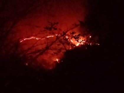 fire in the forest of Melghat, Madhya Pradesh | मेळघाट, मध्य प्रदेशाच्या जंगलात आगडोंब