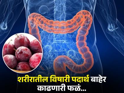 According to Ayurveda eat these fiber rich fruits to clean colon naturally | आतड्यांची स्वच्छता करण्यासाठी नियमित खा 'ही' फळं, लगेच दूर होतील अनेक समस्या...