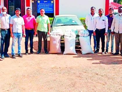Cannabis comes to Chandrapur from Telangana | तेलंगणातून चंद्रपुरात येतो गांजा