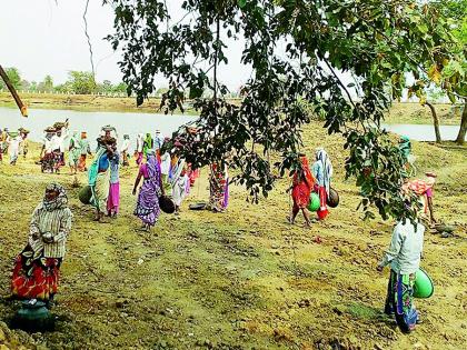 The women's Sarpanch's campaign for the development of the village continues | गाव विकासासाठी महिला सरपंचाची धडपड सुरूच