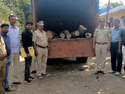  Smuggling of wells on the Gujarat border | गुजरातच्या सीमारेषेवर खैरवृक्षाची तस्करी