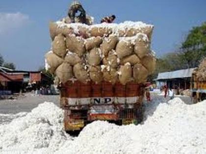 Five and a half lakh rupees to a cotton trader | कापूस व्यापाऱ्याला साडेपाच लाखांचा गंडा