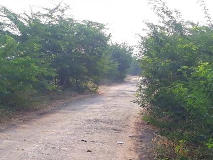 Check the irrigation department | पाटबंधारे खात्याला काटेरी जाच Check the irrigation department | पाटबंधारे खात्याला काटेरी जाच