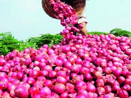 Wani red onion at Rs | वणीत लाल कांद्याला ६१७१ रुपये दर