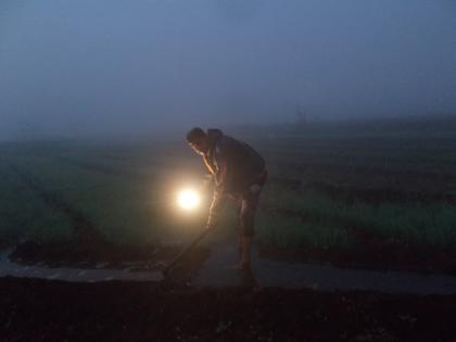 Farmers have to work day and night to irrigate their crops | पिकांना पाणी देण्यासाठी शेतकऱ्यांना करावा लागतोय रात्रीचा दिवस