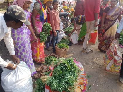 Pimpalgaon Basavant Bhaji Pala Matimol | पिंपळगाव बसवंत भाजी पाला मातीमोल