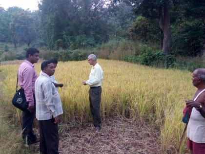 Inspection of Drought situation in Mandangad, direct examination of the committee | रत्नागिरी : मंडणगडातील दुष्काळ स्थितीची समितीकडून प्रत्यक्ष पाहणी