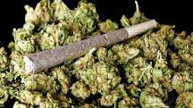 Coronavirus News: Cannabis user arrested in public place at Thane | Coronavirus News: सार्वजनिक ठिकाणी गांजाचे सेवन करणाऱ्यास अटक