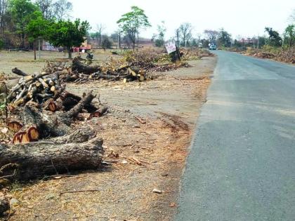 Akala - Washim highway sidewalk piles, inviting accidents | अकाेला - वाशिम महामार्गाच्या कडेला ओंडक्यांचे ढीग, अपघाताला निमंत्रण