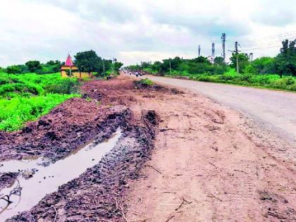 After the agitation the search for an alternative to save the tree began | आंदोलनानंतर वृक्ष वाचविण्यासाठी पर्यायाचा शोध सुरू