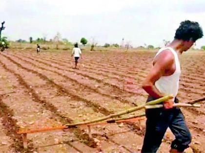 मुलाच्या मृत्यूचे दु:ख बाजूला सारून शेतकरी करतोय पेरणी