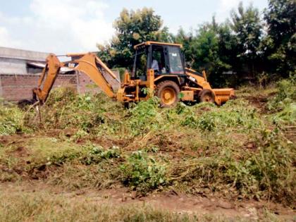 Rehabilitated villages are becoming shrub-free | पुनर्वसित गावे होत आहेत झुडूपमुक्त