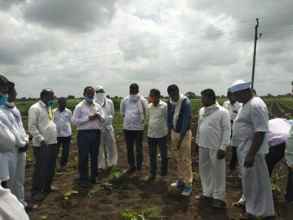 Cotton farm at Neurgaon | नेऊरगावला कापसाबाबत शेतीशाळा