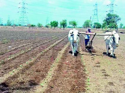 More than 4,000 farmers did sowing without catching the 'soil ball' | ‘मातीचा चेंडू’ न झेलता 4 हजारांहून अधिक शेतकऱ्यांनी केली पेरणी