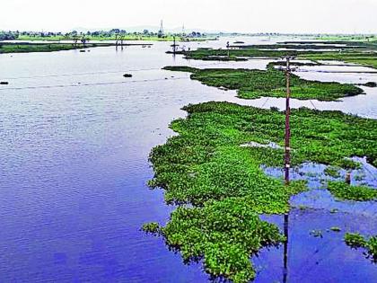 Half of the water reserves in the district | जिल्ह्यातील जलसाठे निम्मेच Half of the water reserves in the district | जिल्ह्यातील जलसाठे निम्मेच