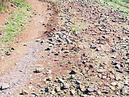 Due to the absence of the road, the incident of the Kolam tribals of the hill | रस्त्याअभावी पहाडावरील कोलाम आदिवासींचे हाल