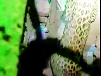 In search of hunter in a leopard home | शिकारीच्या शोधात बिबट्या शिरला घरात