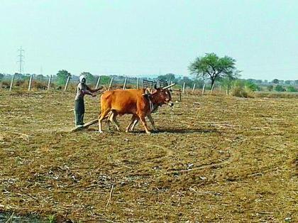 The pace of the pre-harvesting season | हंगामपूर्व मशागतीला वेग