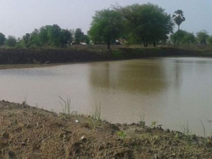 Farmers of Dhule district have gone to the fields | धुळे जिल्ह्यातील शेतकºयांनी शेततळ्यांकडे फिरवली पाठ