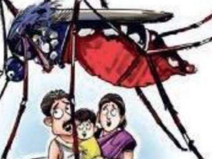 dengue malaria cases rising in yavatmal district | यवतमाळ जिल्हा फणफणला : कोरोनापाठोपाठ आता डेंग्यू, मलेरियाची धास्ती