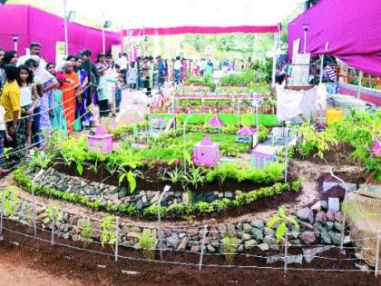 Feeling of Gulshanabad from floral display | पुष्पोत्सवाच्या प्रदर्शनातून गुलशनाबादची अनुभूती