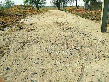 Two months of unloaded cement roads | दोन महिन्यातच उखडले सिमेंटचे रस्ते