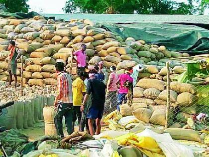 Paddy procurement started in Dhanora and Murumgaon | धानोरा व मुरूमगावात धान खरेदी सुरू