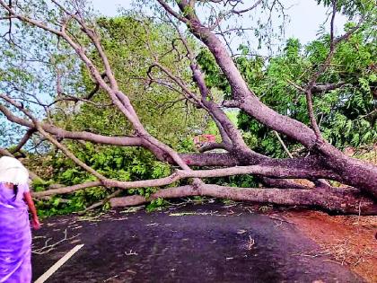 The storm hits again | अवकाळी वादळाचा पुन्हा तडाखा